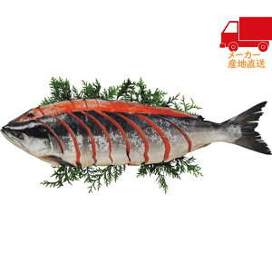 _ӂ̃|CgobNII^S  2025 Ε Ε ΕMtg ~̃Mtg 蕨 gpؐgi1j Hi Y_Y 