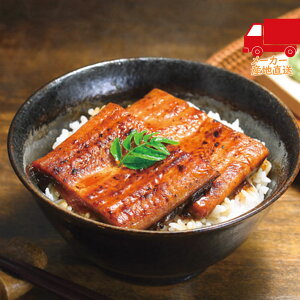 S  2025 Ε Ε ΕMtg ~̃Mtg 蕨 Y ȂĐؐgi8܁j Hi Y_Y Y