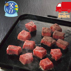 鹿児島県産黒毛和牛モモひとくちステーキ（300g） 食料品 産地直送品 牛肉