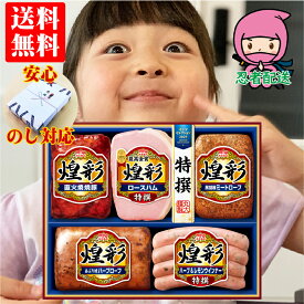 【企業様に選ばれてます 当店だけの のし対応】お歳暮 ギフト 御歳暮 ハム 詰め合わせ 送料無料 ギフト 人気 企業 親 両親 親戚 御礼 煌彩 (こうさい) MV-495