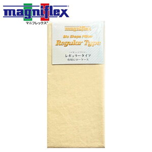 }jtbNX Jo[ oCIVFCv M[psP[X 52×32×9.5cm VJ[pC t@Xi[ AC{[