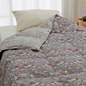 Hѕzc |zc VO _EPbg {  D_ 􂦂 I[V[Y _E85 }X