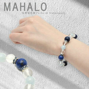 p[Xg[ VR 1_ ANA}  sXY / IvVōłv[gta΃`[ / fB[X MAHALOyM_23z