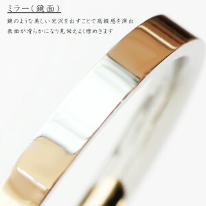 w O XeXAM[t[ ʍ󖳗\ w ył tbg AhoXu Oi vz 󖳗 T[WJ XeX316LO yyMt_z jZbNX 