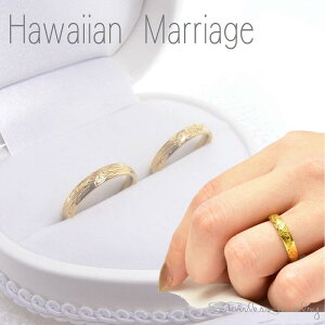 wցyS[h }bWO+̃uC_P[XtzHawaiianV[YyK^^ԑ́znCAWG[ XeX 󖳗  i2{j/ W[u