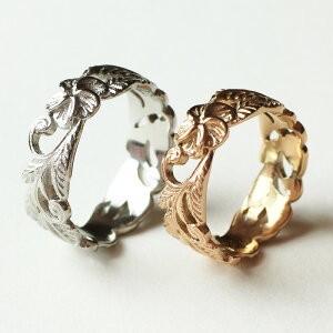 yyAO XeXzynCA WG[z`̃J[rOYȃO Vo[  sNS[h yA O w yA 2{ i / W[u