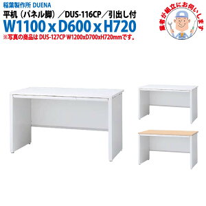 ItBXfXN (ng i)   plr ot^Cv 󒍐Yi DUS-116CP 1100xs600x720mm [LOfXN X`[fXN Ɗ   H t쏊