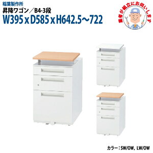 ~S B4-3i^Cv yݒuɋƎ҂fz W395xD585xH642.5`722mm e TChS ItBXS ItBXfXNp