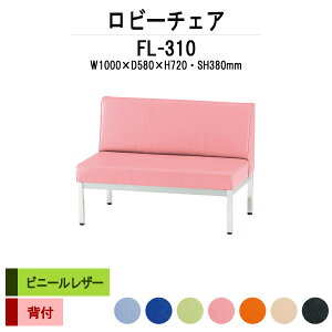 y2~ȏ2~N[|z a@ ҍ  r[`FA \t@[ wt 2l| FL-310 (rj[U[) 1000xs580x720 ʍ380mm \t@ r[x`  ֎q GgX 
