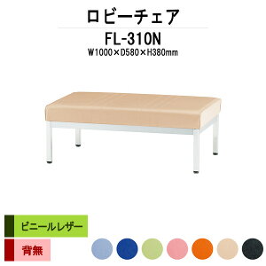 y2~w2~N[|z a@ ҍ  r[`FA \t@[ wȂ 2l| FL-310N (rj[U[) 1000xs580x380mm r[x` \t@  ֎q GgX ڎ 