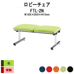 a@ ҍ  r[`FA \t@[ wȂ 2l| FTL-2N (z) 1005xs500x410mm \t@ r[x`  ֎q GgX ڎ @  ʘH R h ϋv