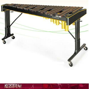 RIMVzSE555C2@KOROGI@RT[gVz@4IN^[u 49VtH