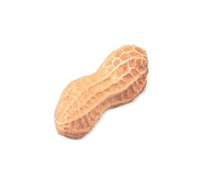 ~[WbNVFCJ[@t[cVF[J[@s[ibcVFCJ[@FS-PN@vCEbh