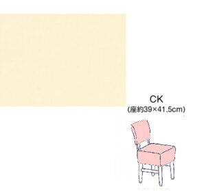 sAm֎qJo[@x[W@CK-450BE w֎q