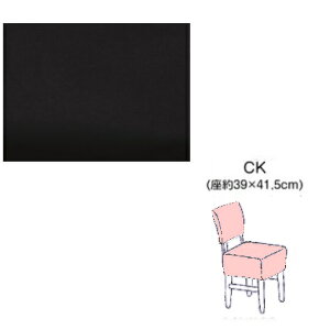 sAm֎qJo[@@CK-450BK w֎qJo[