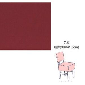 sAm֎qJo[@x[W@CK-450EN w֎q