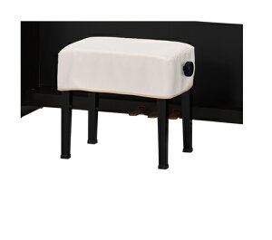 dqsAm֎qJo[@CDB-450 ubN@x[W@GW@lCr[