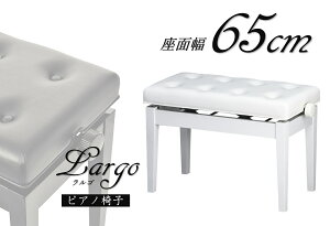 sAm֎qsAmXc[@65cm@SLARGO@֎q@Xm[zCg@L@Ch^Cv