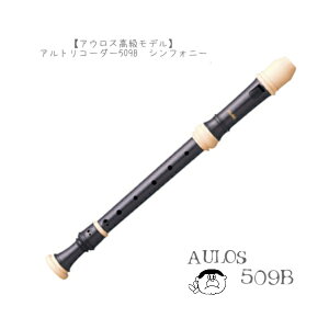 (AEX)AgR[_[@VtHj[@509B@f