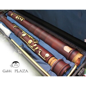 �ySub Bass 2822�z�L�����O SUPERIO 2822 �T�u�o�X ���R�[�_�[