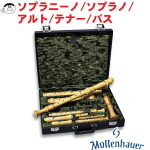 yMollenhaueri[nEGjzR[_[ n[hP[X \vj[m/\vm/Ag /ei[/oXp 5{y7400z