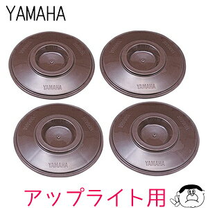 y}nzAbvCg sAmp CV[^[ UPIN-BN FiuEj