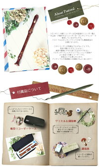【本格入門!】パストラル木製アルトリコーダー入門セット<<わかりやすい教本付き>>