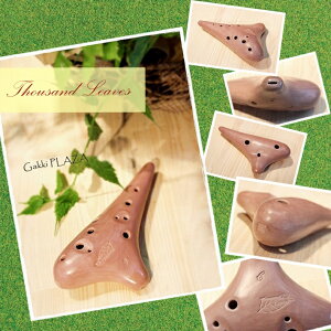 iThousand Leavesj IJi@AgCǁ@t̍i@y\iz