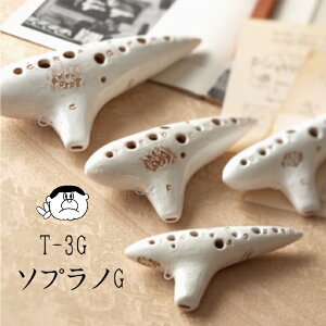 y\vmGǁziAP^j IJ[i T-3G [S SG yǕiI!!z