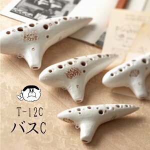 yoXCǁziAP^j IJ[i T-12CyǕiI!!z