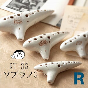 y\vmGǁzAP^ IJ[i I胂f RT-3G [S SCyǕiI!!z