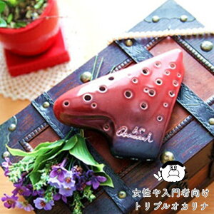 iOsawa^IITjgvEIJi AC-TiiiV[Y^AgCǁjy\tgP[XT[rXz