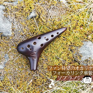 �y�\�v���mG�zFocalink �t�H�[�J�����N �I�J���i ���d�グ SG��