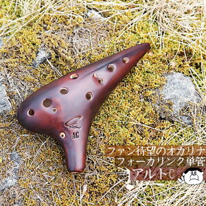 �y�A���gC�zFocalink �t�H�[�J�����N �I�J���i ���d�グ AC �mF-AC-U�n