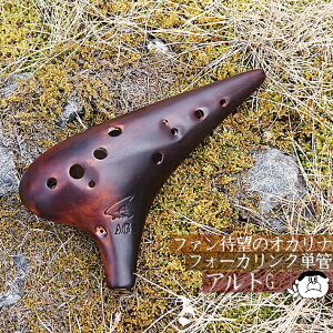 �y�A���gG�zFocalink �t�H�[�J�����N �I�J���i ���d�グ AG��