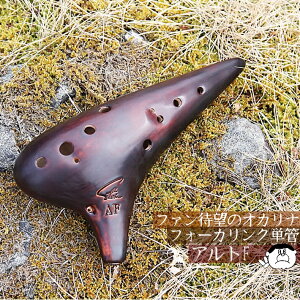 yAgFzFocalink tH[JN IJi dグ AF