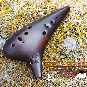 yoXCzFocalink tH[JN IJi dグ BC