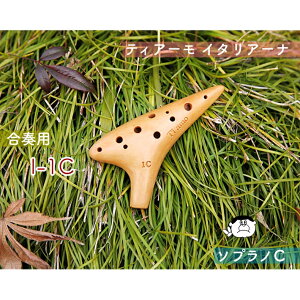 yt^\vmCǁzieBA[jIJi C^A[iV[Y tf I-1C