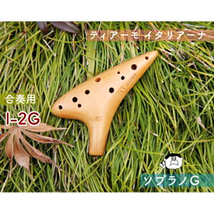 yt^\vmGǁzieBA[jIJi C^A[iV[Y tf I-2G