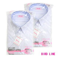 【2枚組】BIRD LINEバードライン スクールシャツ 女子用 半袖 140A〜180A / 150B～180B 形態安定/透け感…