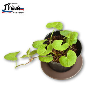 uA{bNcAc{cAّcAScRAc{NTAyj[[gACICAAcicaAVJAVJN[AVJϐA^C؁A^Cn[uA9cm|bgAA`GCWOA`AA