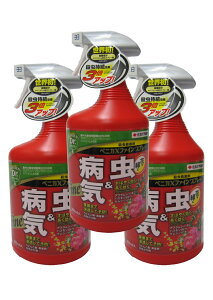E Xv[ 1000ml 3{Zbg xjJXt@CXv[ | E yz