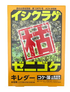 AOJlVE L_[50gx2 [jSPƂ  RP  CVNQ lR|X։