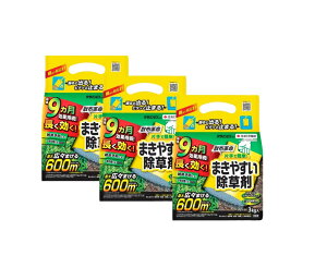  NTmEX  9kg i3kgx3܁j ZFw| NTmex 3kg NTmEX3kg 3   NTm ex  G ܏ZFw| K[fjO | K[fjOpi |pi 