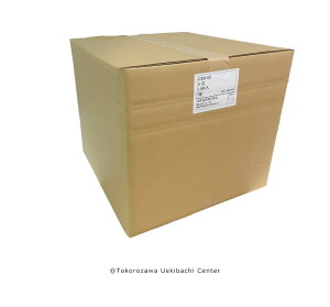 Xbg@v@6cm 2@izCgj@1850 A  GPxA