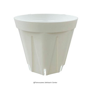 Xbg@v@7.5cm 2.5@izCgj@1600 P[X̔@A  GPxA