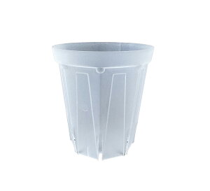 lK~G@Xbg@v@12cm O^Cv@410