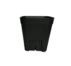 vXe ʏ^  75 Xbgv 100Zbg v^[ A  GPxA