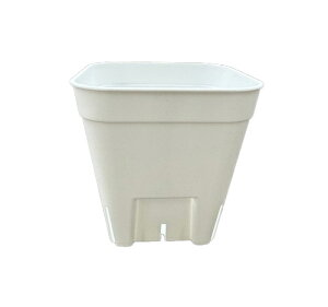 vXe ʏ^  75 Xbgv 1600Zbg v^[ A  GPxA