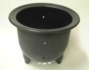 т Grl v 6.0 ƒ؉ v^[